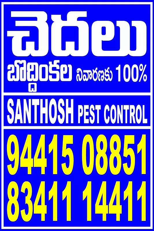 Santhosh Pest Control Sriram Nagar In Kurnool - Photo No. 11