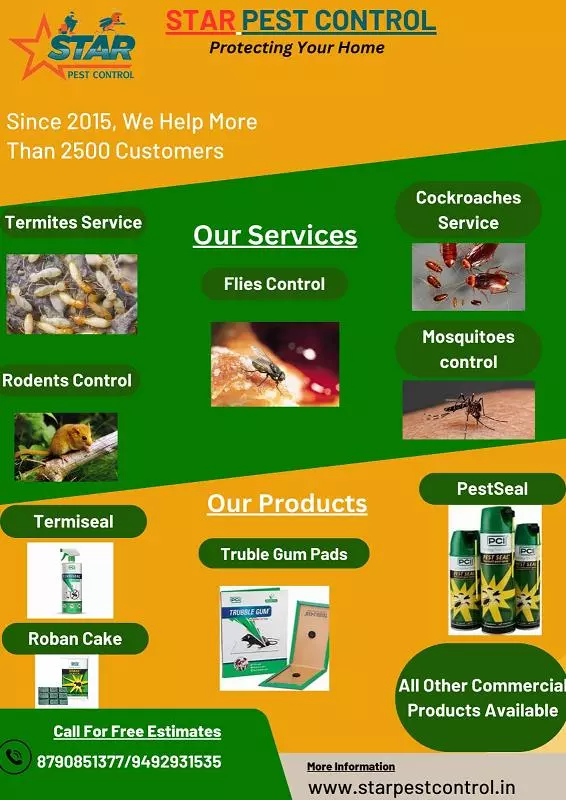 Star Pest Control Services Ashok Nagar In Kurnool - Photo No. 01