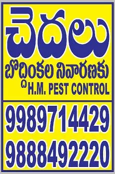 Hm Pest Control Pest Control Services Near Vital Nagar In Kurnool - Photo No. 01