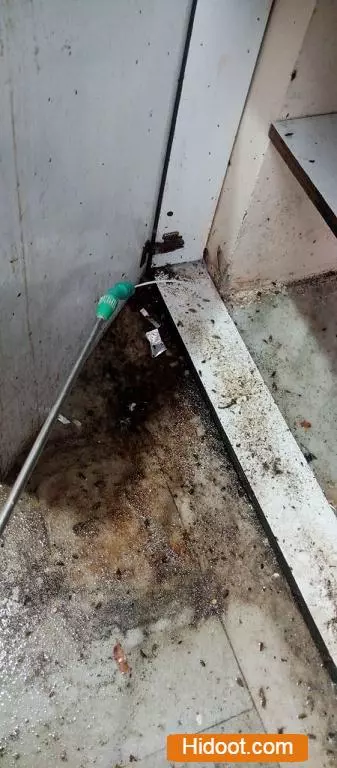 lohitha pest control services bus stand in warangal - Photo No.12