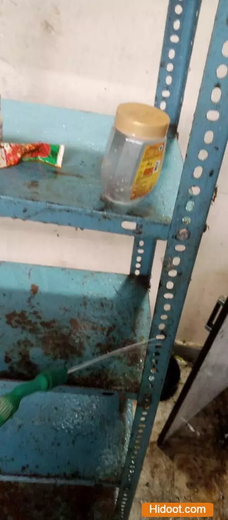 lohitha pest control services bus stand in warangal - Photo No.9