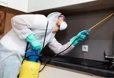 Remove Pest Control Services Andheri West In Mumbai - Photo No. 11