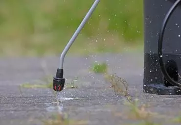 Remove Pest Control Services Andheri West In Mumbai - Photo No. 41