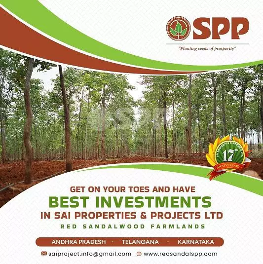 Kvr Consultancy Banagana Palli In Nandyal - Photo No. 11