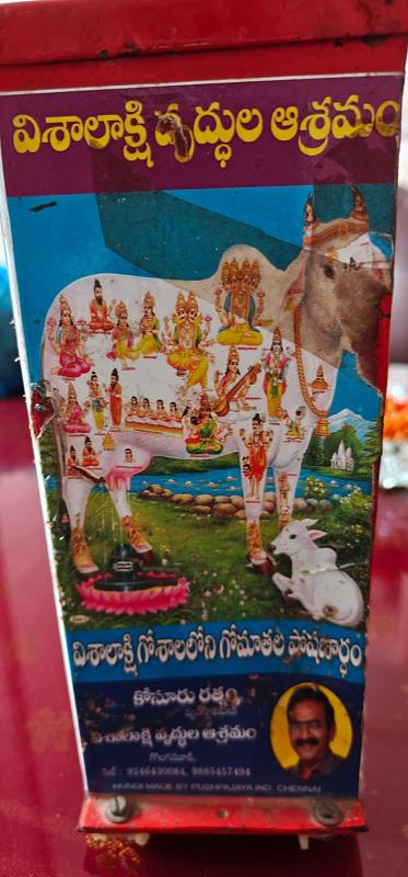 Visalakshi Old Age Home Golagamudi In Nellore Andhra Pradesh - Photo No. 01