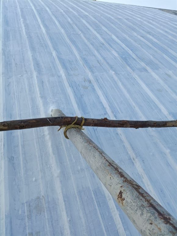 water proofing contractors nellore in nellore - Photo No.1