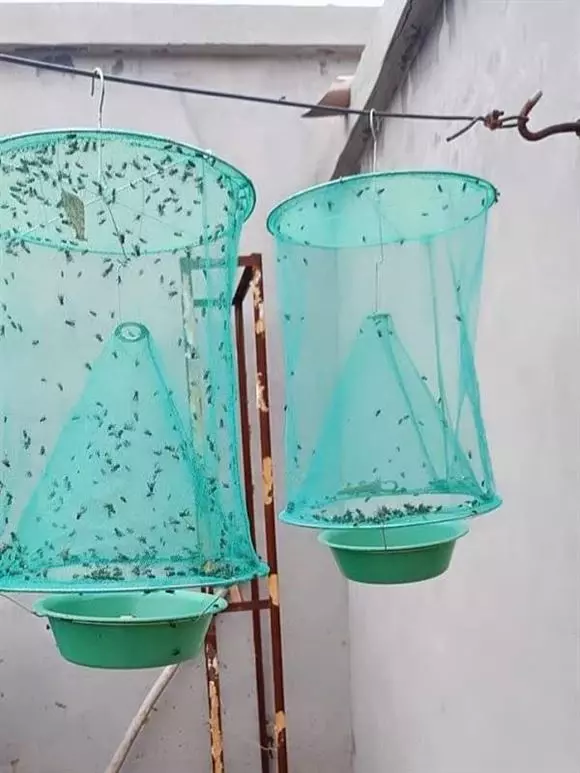 Ori Pest Cop Services Padmavathi Nagar In Nellore - Photo No. 31