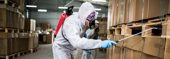 Durga Bhavani Pest Control Services Vinayaka Nagar In Nizamabad - Photo No. 31