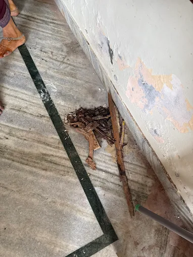 Sneha Pest Control Gopal Nagar In Ongole - Photo No. 11