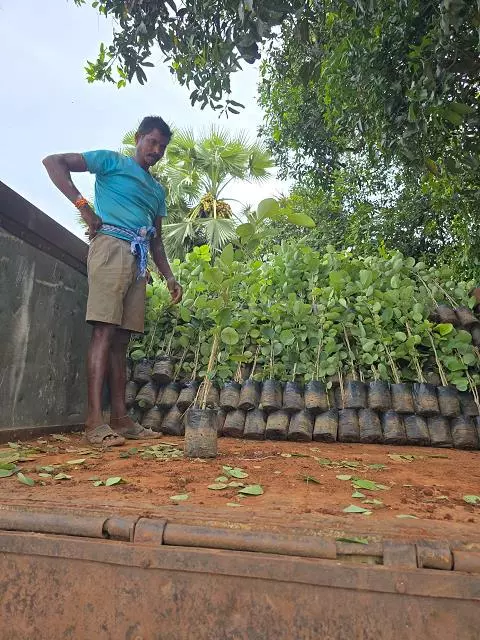 Shanmugh Group Balaji Rao Peta In Ongole - Photo No. 91