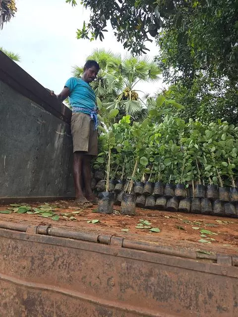 Shanmugh Group Balaji Rao Peta In Ongole - Photo No. 71