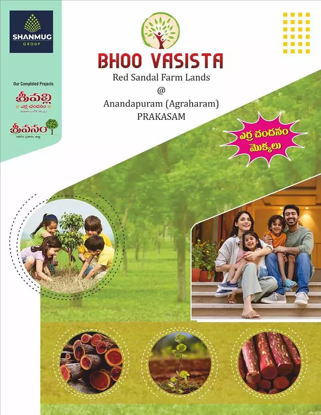 Shanmugh Group Balaji Rao Peta In Ongole - Photo No. 01