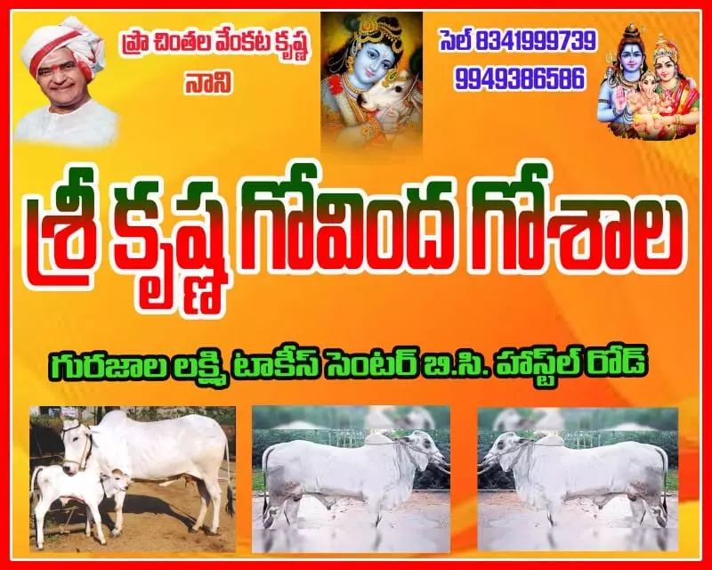 Sri Krishna Govinda Goshala Gurazala In Guntur - Photo No. 01