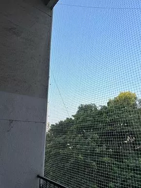 Dhanalakshmi Safety Nets Hadapsar In Pune - Photo No. 01