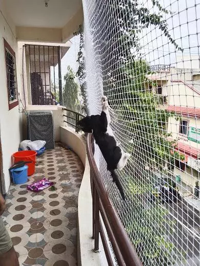 Nivedhika Safety Nets Ghorpadi In Pune - Photo No. 31