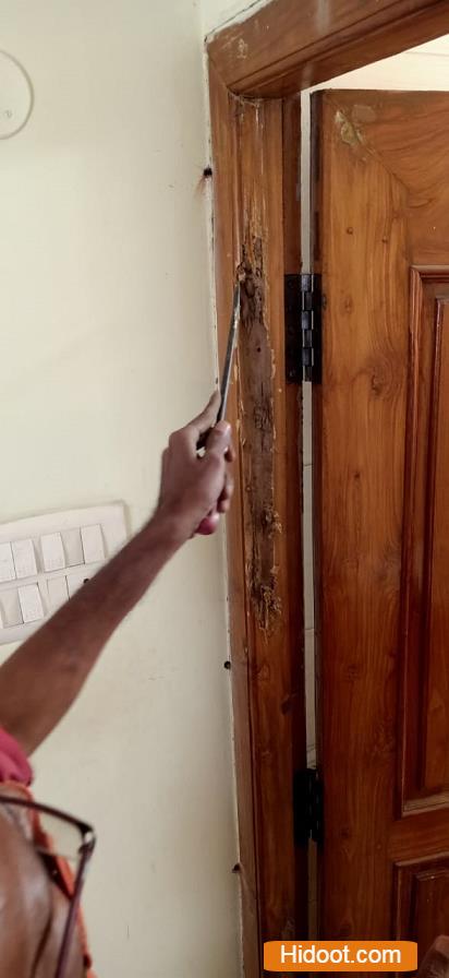 Srinu Pest Control Service Pest Control Services Near Innespeta In Rajahmundry - Photo No. 31