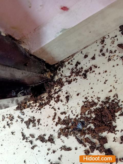 Srinu Pest Control Service Pest Control Services Near Innespeta In Rajahmundry - Photo No. 21
