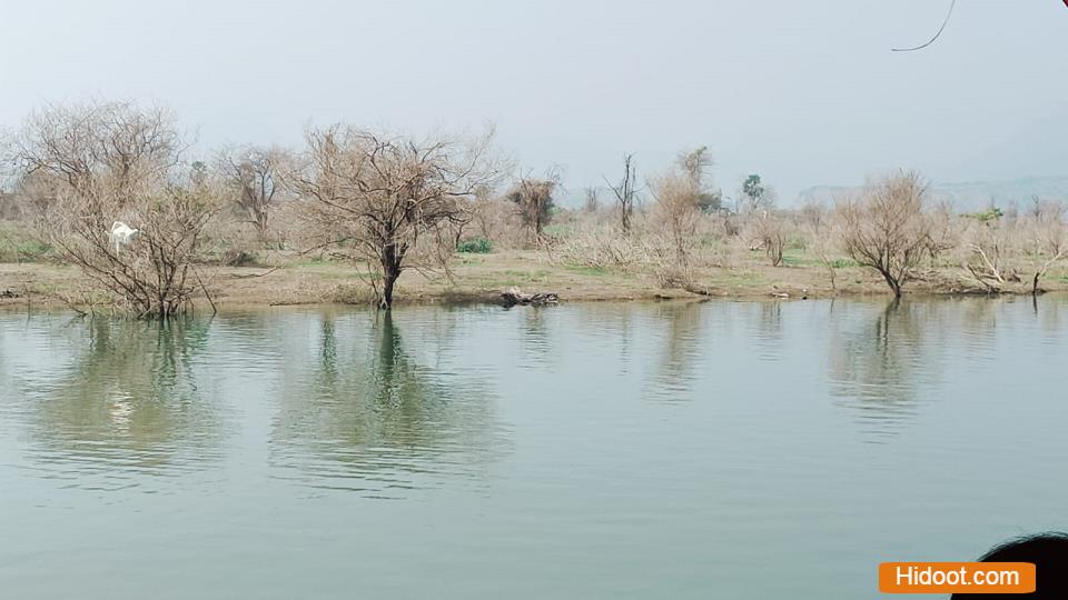 papikondalu tourism website designers and developers krishna nagar in rajahmundry - Photo No.7