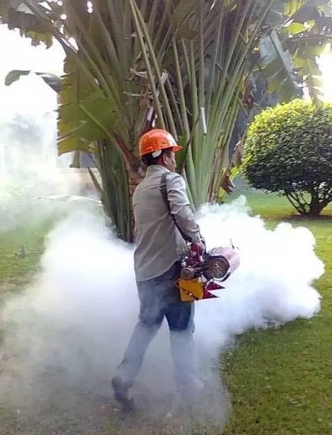 National Pest Control Services Bus Stand In Rajahmundry - Photo No. 21