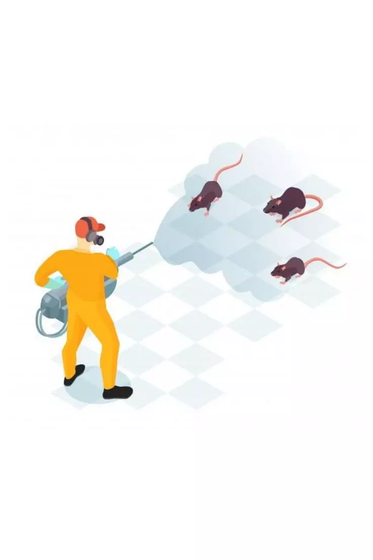 National Pest Control Services Bus Stand In Rajahmundry - Photo No. 11