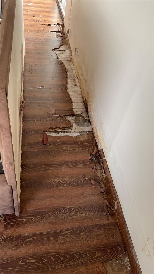 Poison Kills Pest Control Chilkalguda In Hyderabad - Photo No. 31