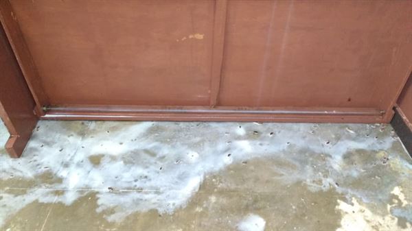 Poison Kills Pest Control Chilkalguda In Hyderabad - Photo No. 11