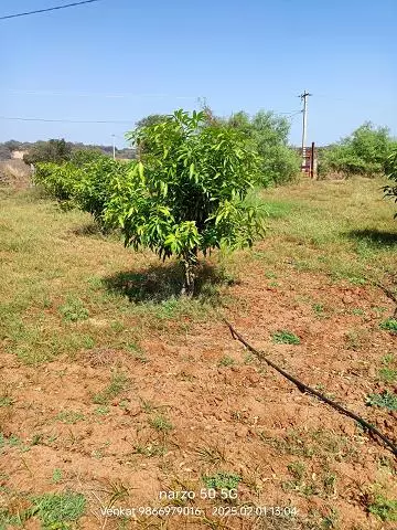 sri ramana maharshi real estate cherial road in siddipet telangana - Photo No.1