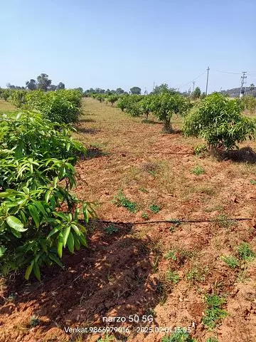 sri ramana maharshi real estate cherial road in siddipet telangana - Photo No.0