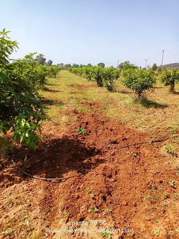 sri ramana maharshi real estate cherial road in siddipet telangana - Photo No.3