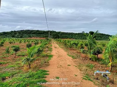 sri ramana maharshi real estate cherial road in siddipet telangana - Photo No.6