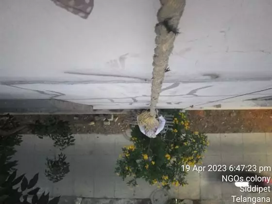 thirumala water proofing solutions prashanth nagar in siddipet - Photo No.5