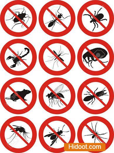 Sun Shine Pest Control Services Near Kodad In Suryapet - Photo No. 21