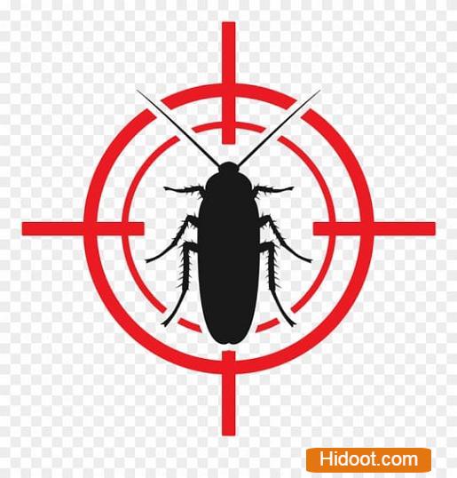 Sun Shine Pest Control Services Near Kodad In Suryapet - Photo No. 01