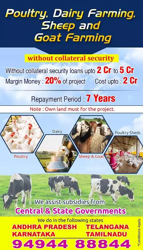 Vr Associates Gali Street In Tirupati - Photo No. 31