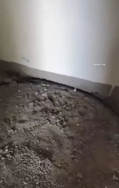 krupa pest control services near rajiv gandhi colony in tirupati - Photo No.0