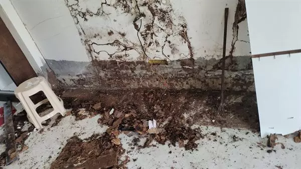 krupa pest control services near rajiv gandhi colony in tirupati - Photo No.3