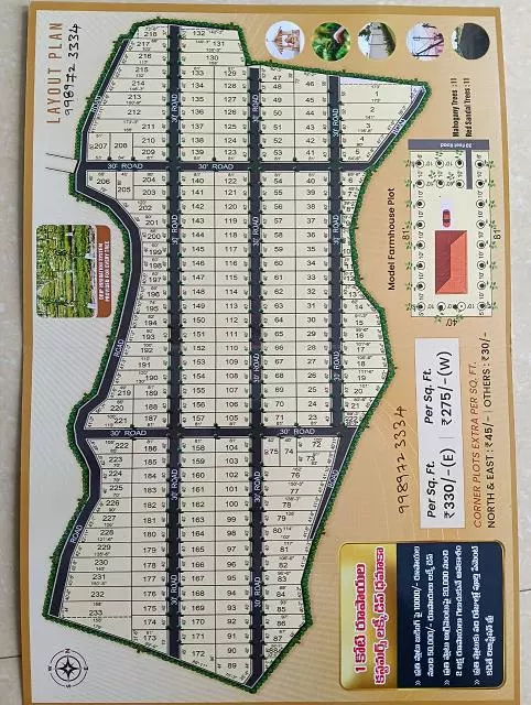 Sri Bhudevi Open Plots Developments Farmlands Renigunta In Tirupati - Photo No. 01