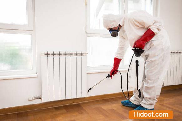 Professional Pest Control Inc Pest Control Services Near Nimmakayala Street In Tirupati - Photo No. 81