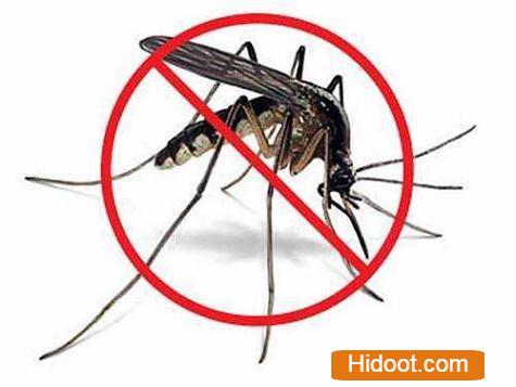 Professional Pest Control Inc Pest Control Services Near Nimmakayala Street In Tirupati - Photo No. 41