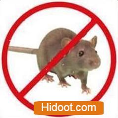 Professional Pest Control Inc Pest Control Services Near Nimmakayala Street In Tirupati - Photo No. 21