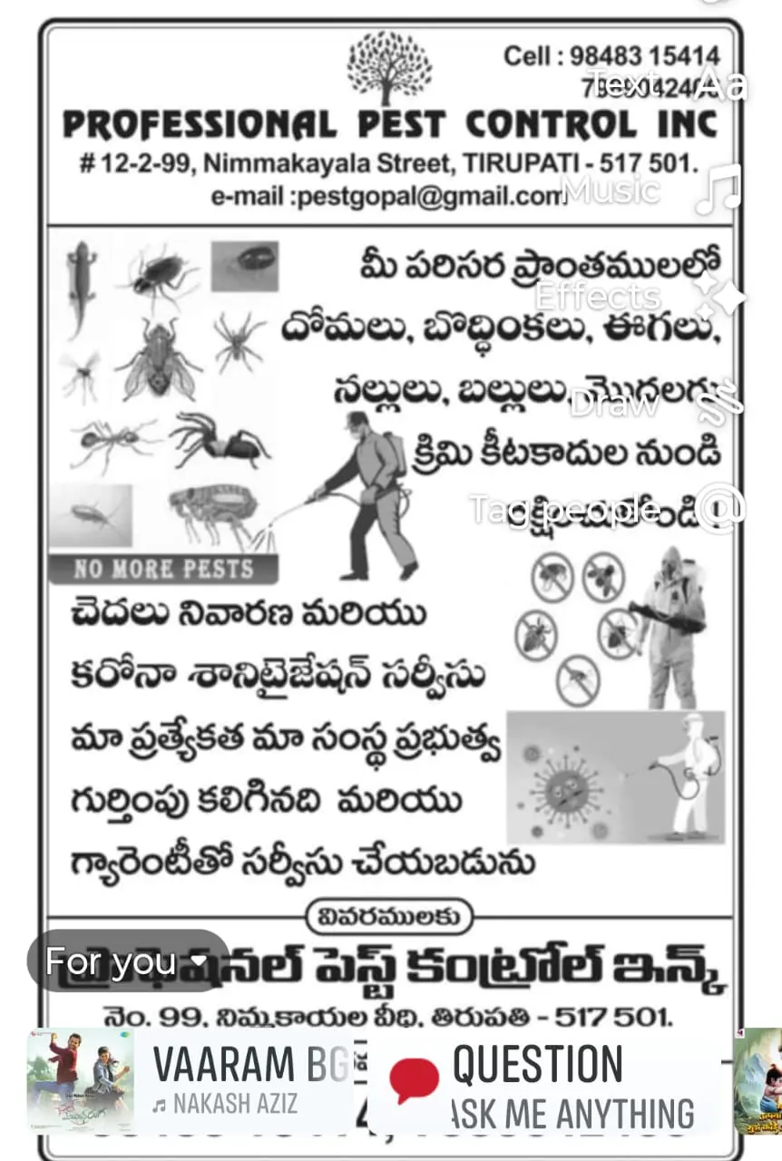 Professional Pest Control Inc Pest Control Services Near Nimmakayala Street In Tirupati - Photo No. 01