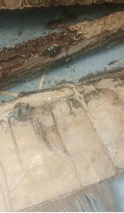 Nandini Pest Control Ramavarapadu In Vijayawada - Photo No. 11