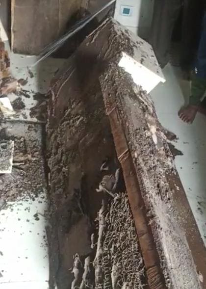 Nandini Pest Control Ramavarapadu In Vijayawada - Photo No. 21