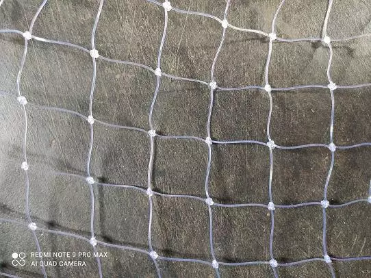 John Enterprises Bus Stand In Vijayawada - Photo No. 31