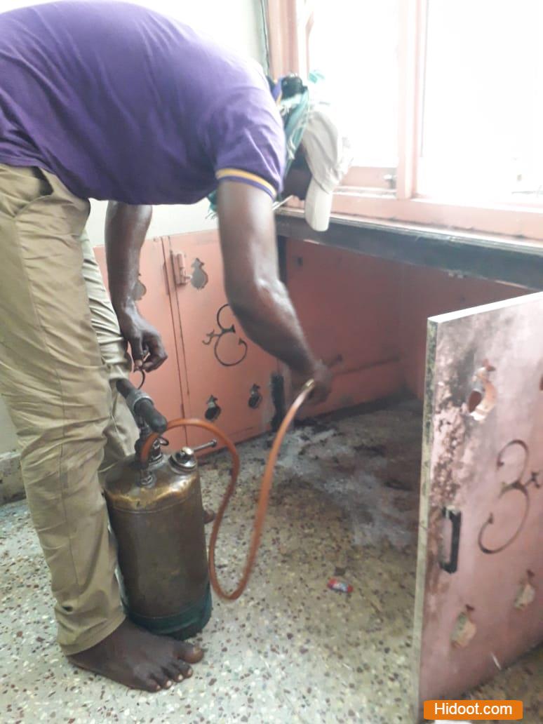hindustan pest control services vijayawada - Photo No.9