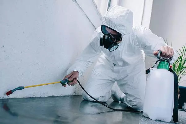 new india pest control gandhi nagar in vijayawada - Photo No.3