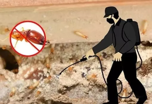 new india pest control gandhi nagar in vijayawada - Photo No.5