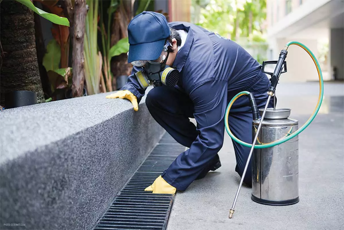 new india pest control gandhi nagar in vijayawada - Photo No.6
