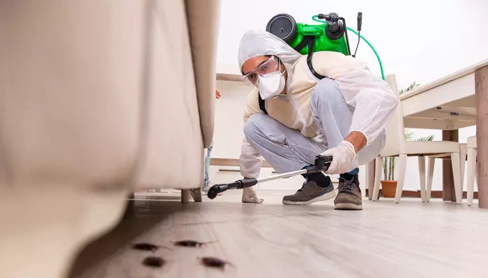 new india pest control gandhi nagar in vijayawada - Photo No.7