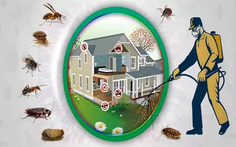 new india pest control gandhi nagar in vijayawada - Photo No.8